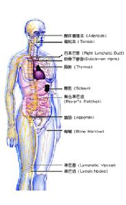 創傷性心源性溶血性貧血