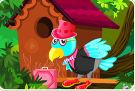 馬希格藍鳥 馬希格藍鳥