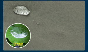 納米抗污襯衫 納米抗污襯衫