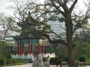 衛河公園 衛河公園