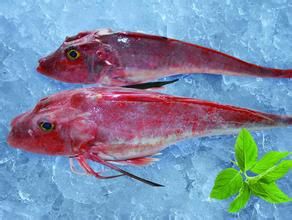 安娜紅娘魚 安娜紅娘魚