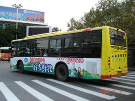 廈門公交機場專線 廈門公交機場專線