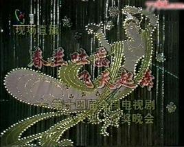 第14屆中國電視劇飛天獎 第14屆中國電視劇飛天獎