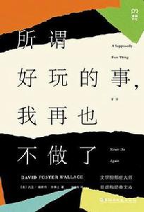 所謂好玩的事,我再也不做了 所謂好玩的事,我再也不做了