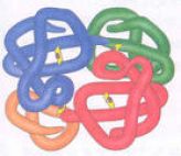 紅細胞游離原卟啉