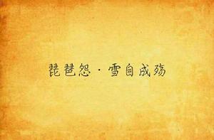 琵琶怨·雪自成殤 琵琶怨·雪自成殤