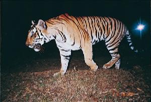 納加爾霍雷國家公園