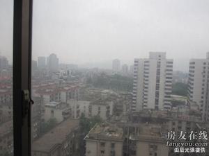 芙蓉同發 芙蓉同發