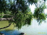 呼和浩特青城公園 呼和浩特青城公園