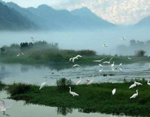 開源河林場 開源河林場