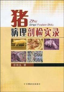 豬病理剖檢實錄 豬病理剖檢實錄
