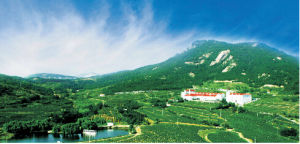 百利酒莊 百利酒莊