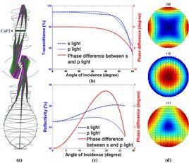 光學偏振膜 光學偏振膜