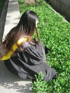 我的一年四季 我的一年四季