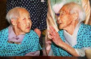 （圖）“金婆婆”與“銀婆婆”(左)的資料照片。