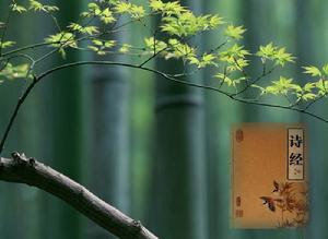 小雅·伐木 小雅·伐木