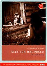 如果我有一支槍