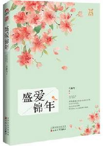 盛愛錦年 盛愛錦年