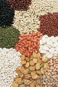 纖維食品 纖維食品