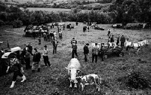 吉普賽人生存方式