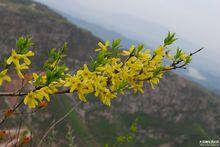 汝州大紅寨地質公園