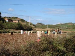 爛泥溝二組自然村 爛泥溝二組自然村