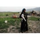 卡什加人 卡什加人