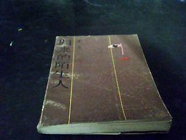 歸來的陌生人 歸來的陌生人