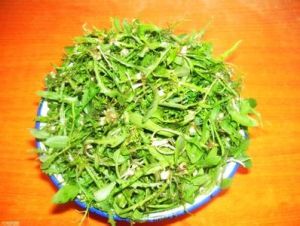 苦中甘甜 苦中甘甜