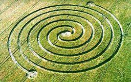 麥田裡的怪圈 麥田裡的怪圈