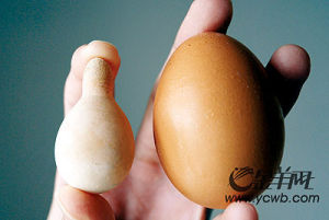 葫蘆雞蛋