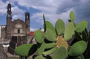 墨西哥歷史中心及霍奇米爾科區