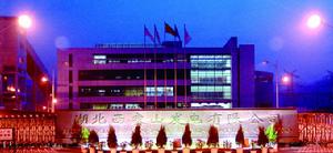 湖北西塞山發電有限公司 湖北西塞山發電有限公司