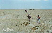 尋找彭加木[電視劇]