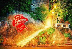 鹿回頭之夜 鹿回頭之夜