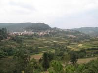 大黑坎村 大黑坎村