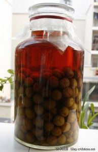 自製酸梅酒 自製酸梅酒
