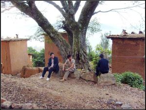 金星的么村 金星的么村