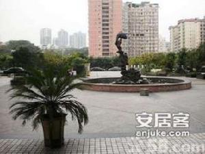 蒲草田5號 蒲草田5號