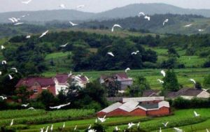 和平生態旅遊區 和平生態旅遊區