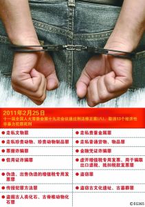 《中華人民共和國刑法修正案(八)》