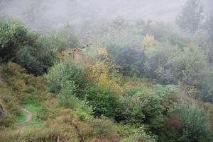 石莊行政村概況