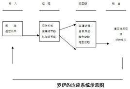 羅伊適應模式 羅伊適應模式