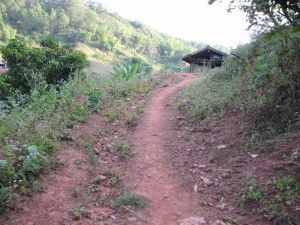 文那自然村 文那自然村