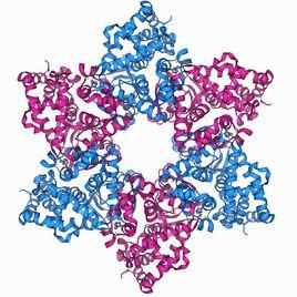 變旋作用 變旋作用