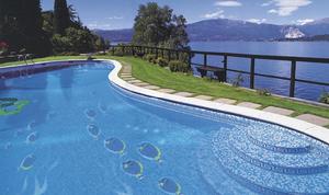 泳池馬賽克案例