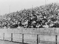 1908倫敦奧運會 1908倫敦奧運會