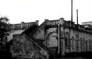 法國愛民醫院 法國愛民醫院