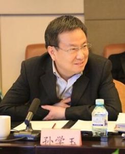 孫學玉[中央人才工作協調小組辦公室主任]