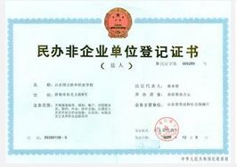 民辦非企業 民辦非企業